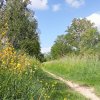 CHEMIN 2.  Les photos ont été prise le long du Canal d'Orléans sur le chemin du halage entre la Venelle de la Hotte et la rue du moulin d'Aveau. photo 2. PASCAL GOUHIER